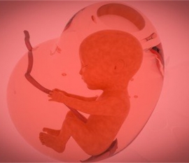 给婴幼儿深圳捐卵宝宝添加辅食应避免“四大罪过”