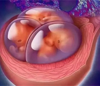 3岁深圳捐卵宝宝营养不良的标准 孩子营养问题关乎千万人的心
